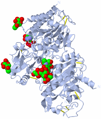 Image Biological Unit 1