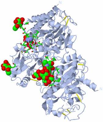 Image Biol. Unit 1 - sites