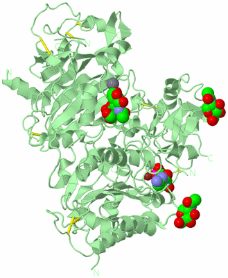 Image Biological Unit 2