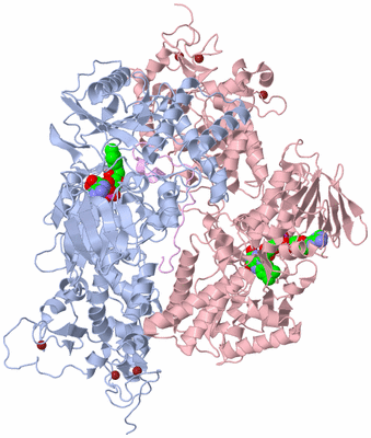 Image Biological Unit 1