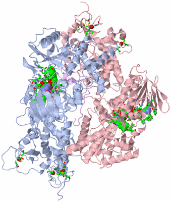 Image Biol. Unit 1 - sites