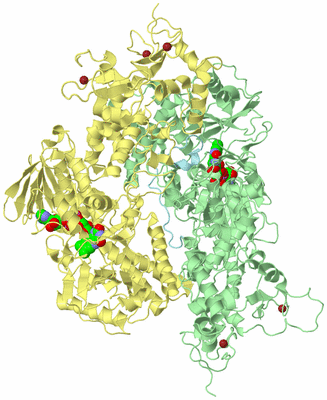 Image Biological Unit 2