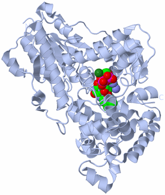 Image Biological Unit 1