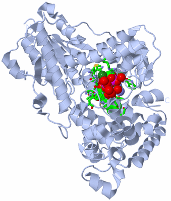 Image Biol. Unit 1 - sites