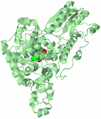 Image Biological Unit 2