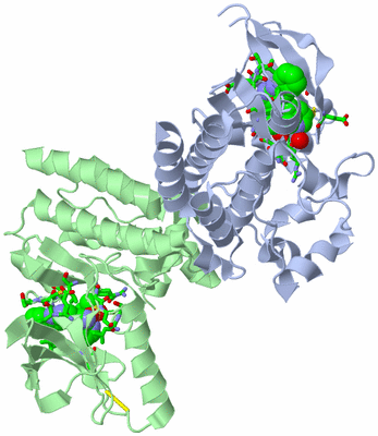 Image Biol. Unit 1 - sites