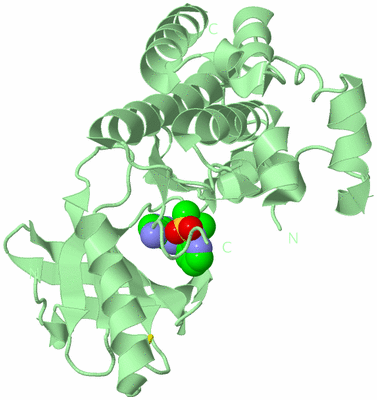 Image Biological Unit 3