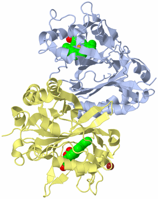 Image Biological Unit 1