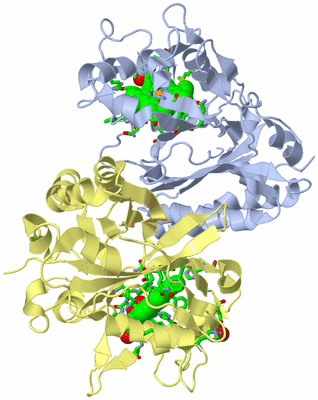 Image Biol. Unit 1 - sites