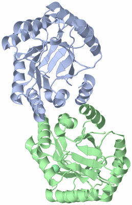 Image Asym./Biol. Unit