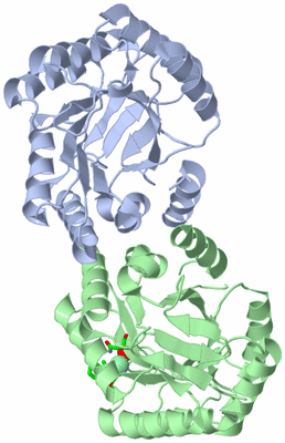 Image Asym./Biol. Unit - sites