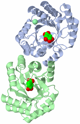 Image Asym./Biol. Unit