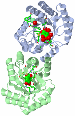 Image Asym./Biol. Unit - sites