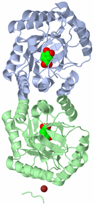 Image Asym./Biol. Unit