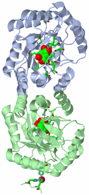 Image Asym./Biol. Unit - sites