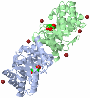 Image Asym./Biol. Unit