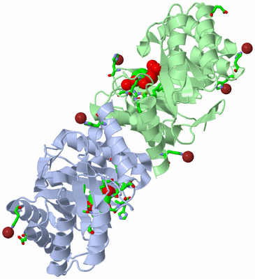 Image Asym./Biol. Unit - sites