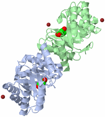 Image Asym./Biol. Unit