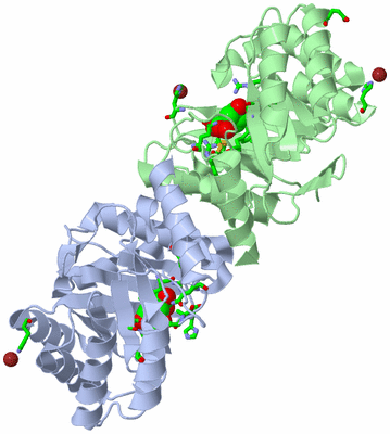 Image Asym./Biol. Unit - sites