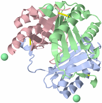 Image Biological Unit 1