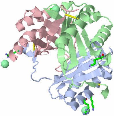 Image Biol. Unit 1 - sites