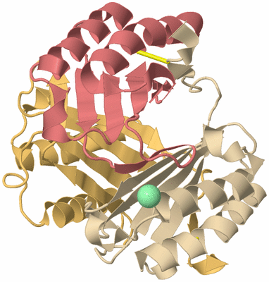 Image Biological Unit 3