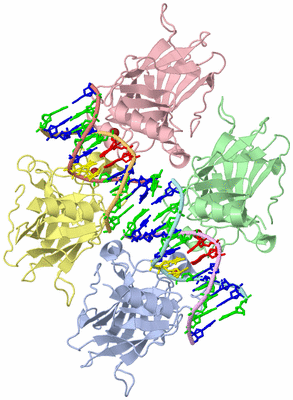 Image Biological Unit 1