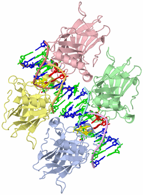 Image Biol. Unit 1 - sites