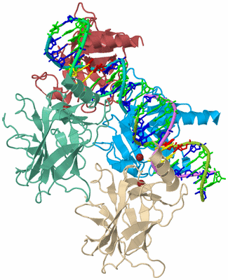 Image Biological Unit 2