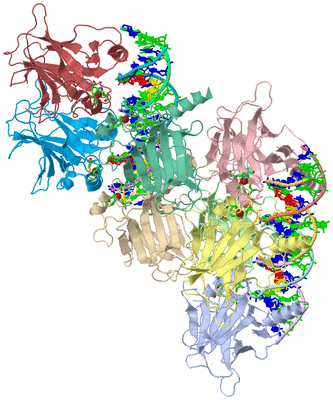 Image Asym. Unit - sites