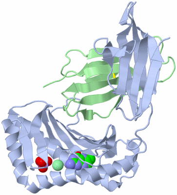 Image Biological Unit 1