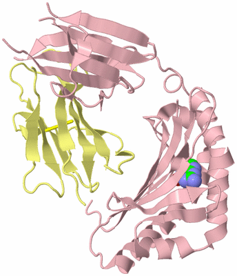 Image Biological Unit 2