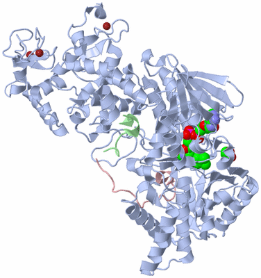 Image Asym./Biol. Unit