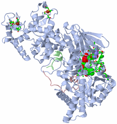 Image Asym./Biol. Unit - sites