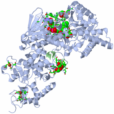 Image Asym./Biol. Unit - sites