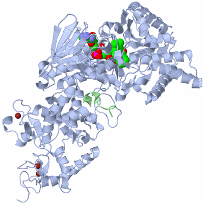 Image Asym./Biol. Unit