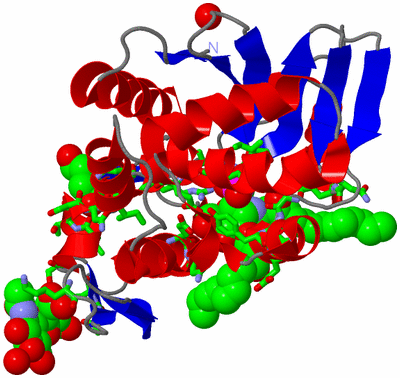 Image Asym./Biol. Unit - sites