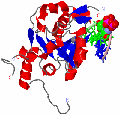 Image Asym./Biol. Unit