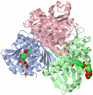 Image Asym./Biol. Unit