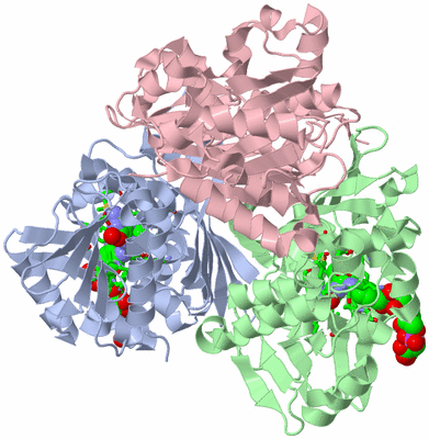 Image Asym./Biol. Unit - sites