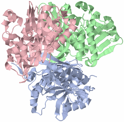 Image Asym./Biol. Unit