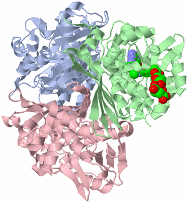 Image Asym./Biol. Unit