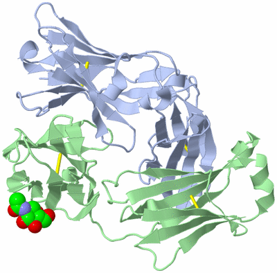 Image Biological Unit 2