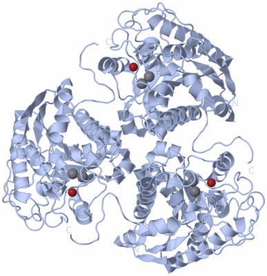 Image Biological Unit 1