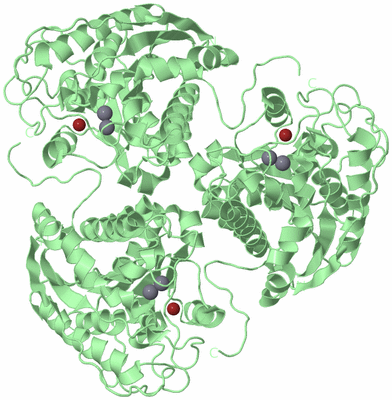 Image Biological Unit 2