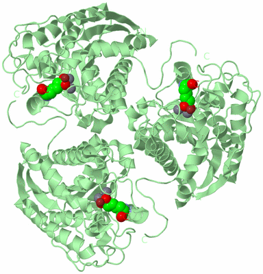 Image Biological Unit 2