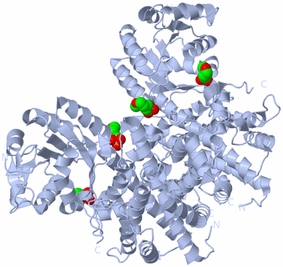 Image Biological Unit 2