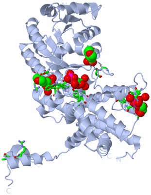 Image Biol. Unit 1 - sites