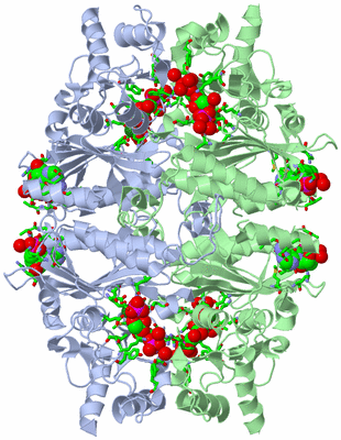 Image Biol. Unit 1 - sites