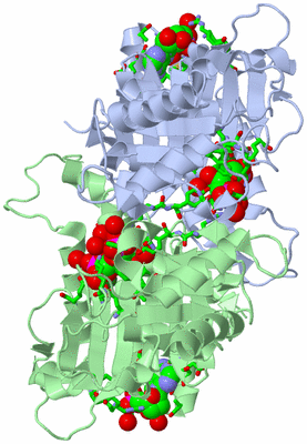 Image Asym. Unit - sites